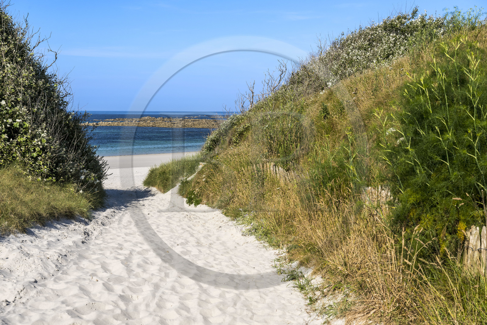 France, Finistère (29), Iles du Ponant, Ile de Batz, plage de la Grève Blanche