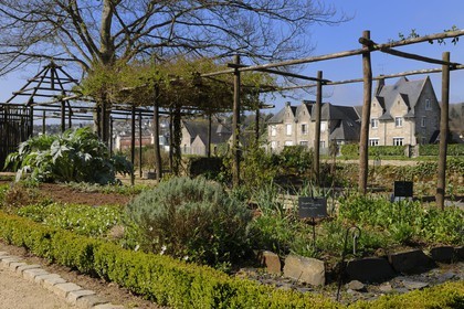 France, Finistère (29), Quimper, quartier de Locmaria, jardin de plantes médicinales et aromatiques