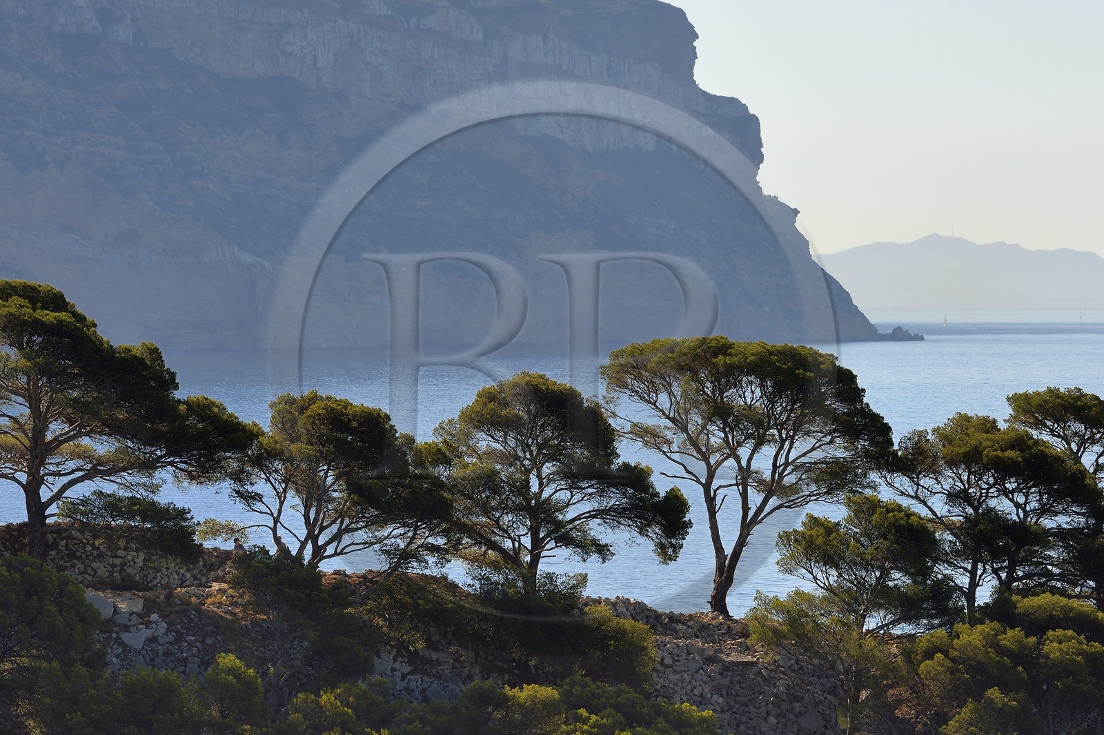 France, Bouches du Rhone, Cassis, National Park of the Calanques, Calanque de Port Miou (cove), Cacau Point and the cliffs of Cap Canaille in the background (request for authorization necessary before publication)