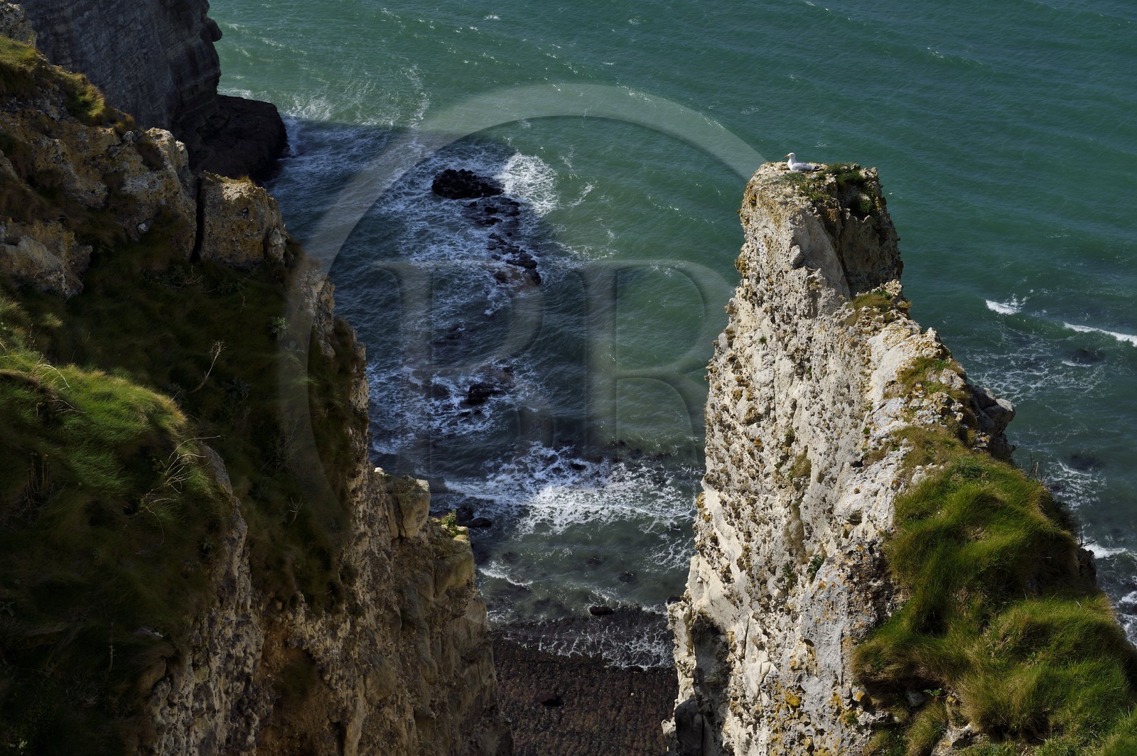 France, Seine-Maritime (76), Pays de Caux, Côte d'Albâtre, Etretat, la falaise d'Aval