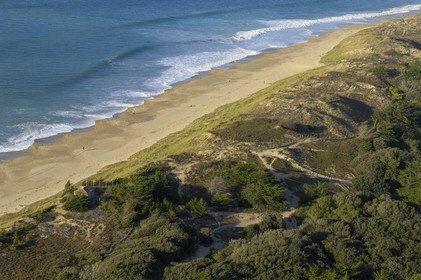 France, Charente-Maritime (17), ile de Ré, plage à la Conche des Baleines (vue aérienne)