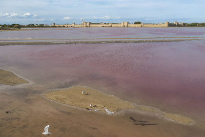 France, Gard, Aigues Mortes, the medieval town surrounded by its ramparts on the edge of the salt marshes (Salins du Midi) (aerial view)
