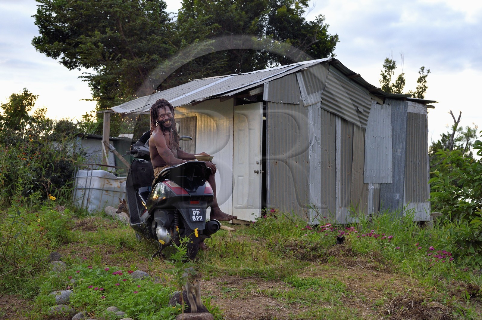 Caraïbes, Ile de la Dominique, hameau de Syndicate au dessus de Dublanc, le rasta Celius