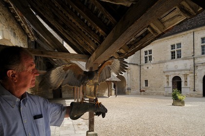 France, Côte-d'Or (21), le Château du Clos-de-Vougeot (vignoble des Côtes de Nuit), la cour