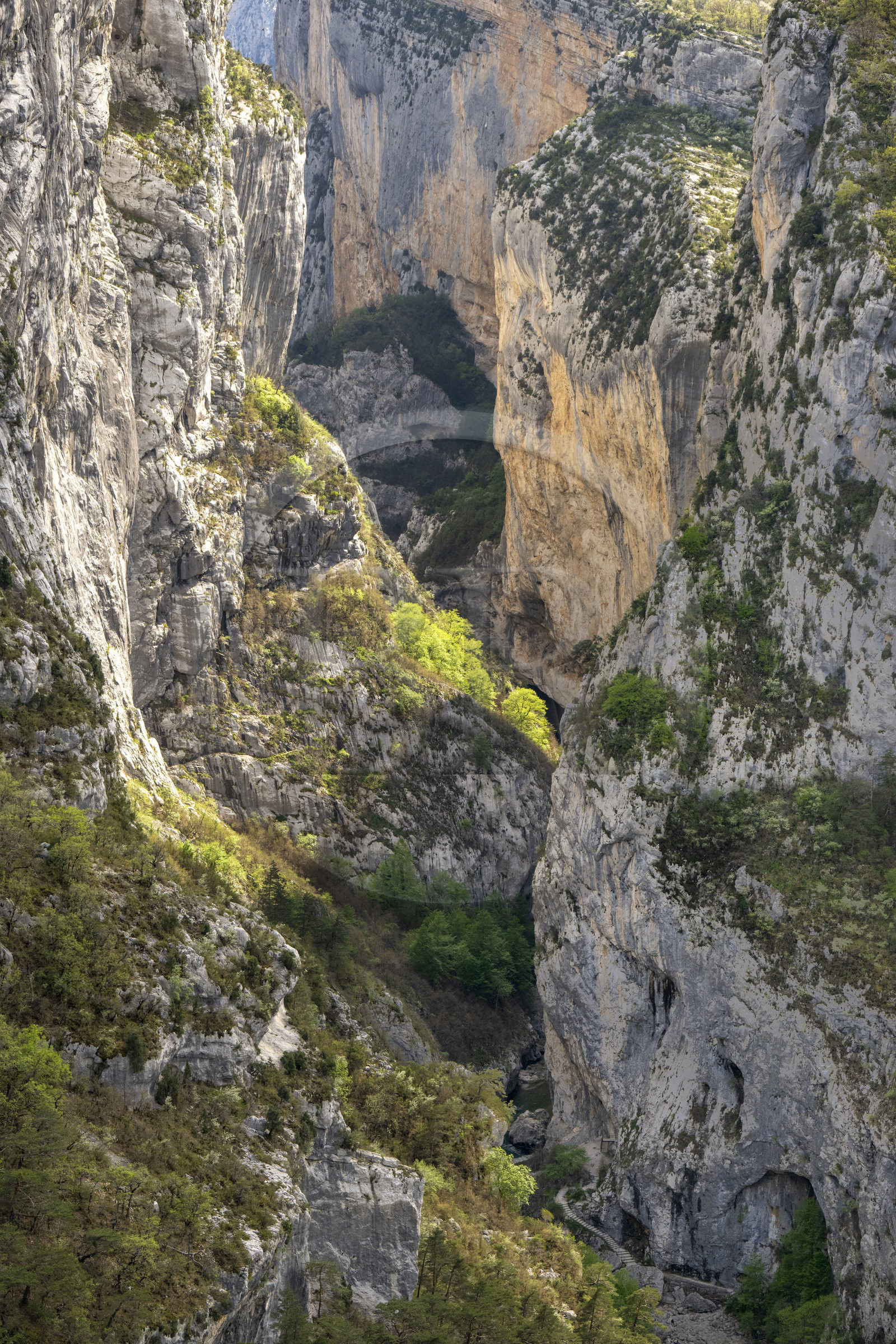 France, Alpes-de-Haute-Provence (04), Parc Naturel Régional du Verdon, Rougon, Grand Canyon du Verdon, la rivière du Verdon dans le couloir Samson et le début du sentier Blanc-Martel sur le GR4