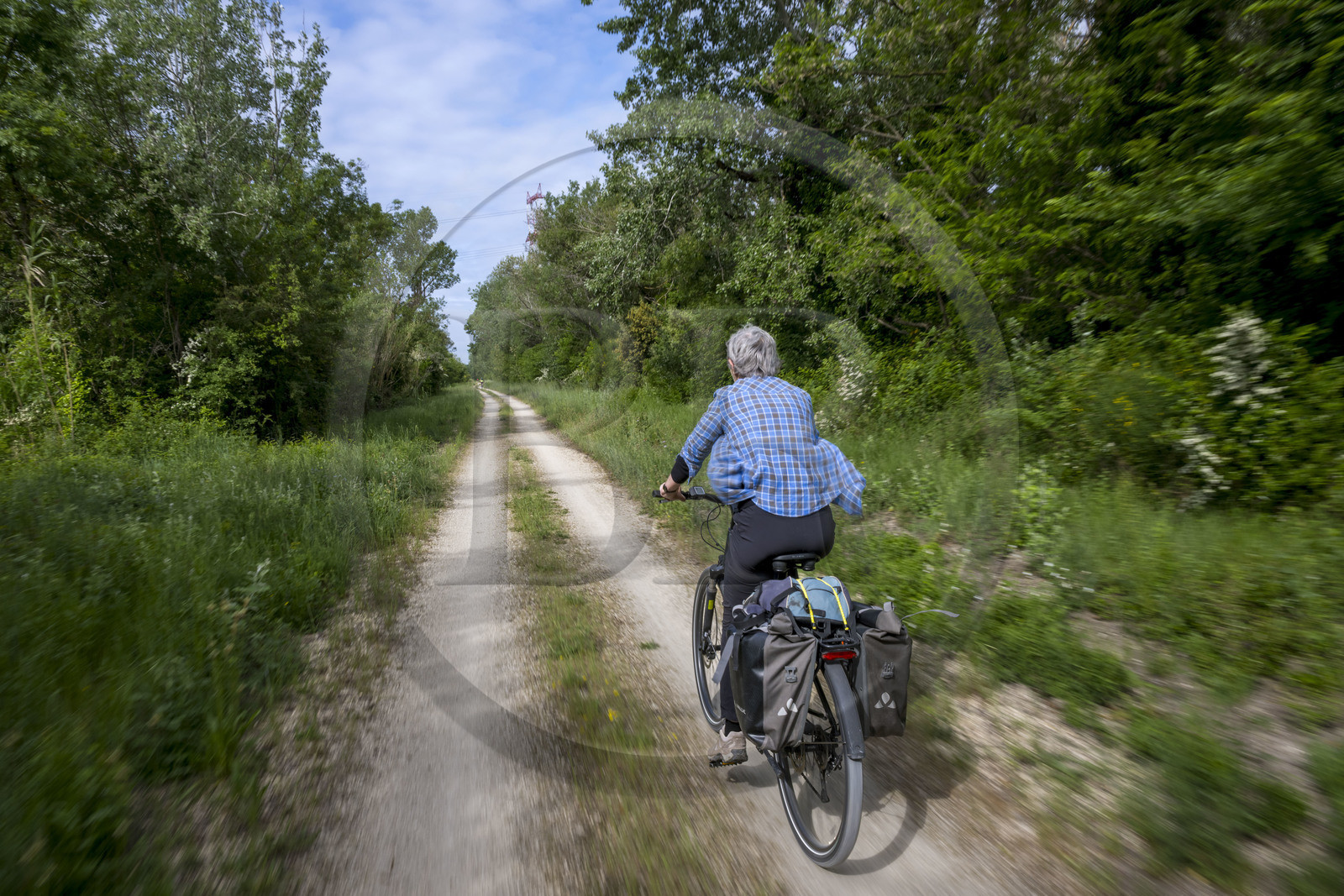 France, Gard, Aramon, cyclist on the ViaRhona cycle route