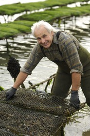France, Charente-Maritime (17), le bassin Marrennes-Oléron au large de l'Ile d'Oléron, l'ostréiculteur André Massé dans un de ses parcs à huîtres