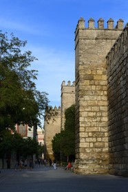 Espagne, Andalousie, Séville, Alcazar de Séville (Reales Alcazares de Sevilla), classé Patrimoine Mondial de l'UNESCO, les remparts