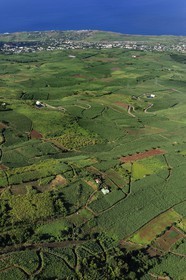 France, Ile de la Reunion, Cote ouest, les champs de cannes à sucre sur les pentes du Tevelave au dessus de piton Saint Leu (vue aérienne)