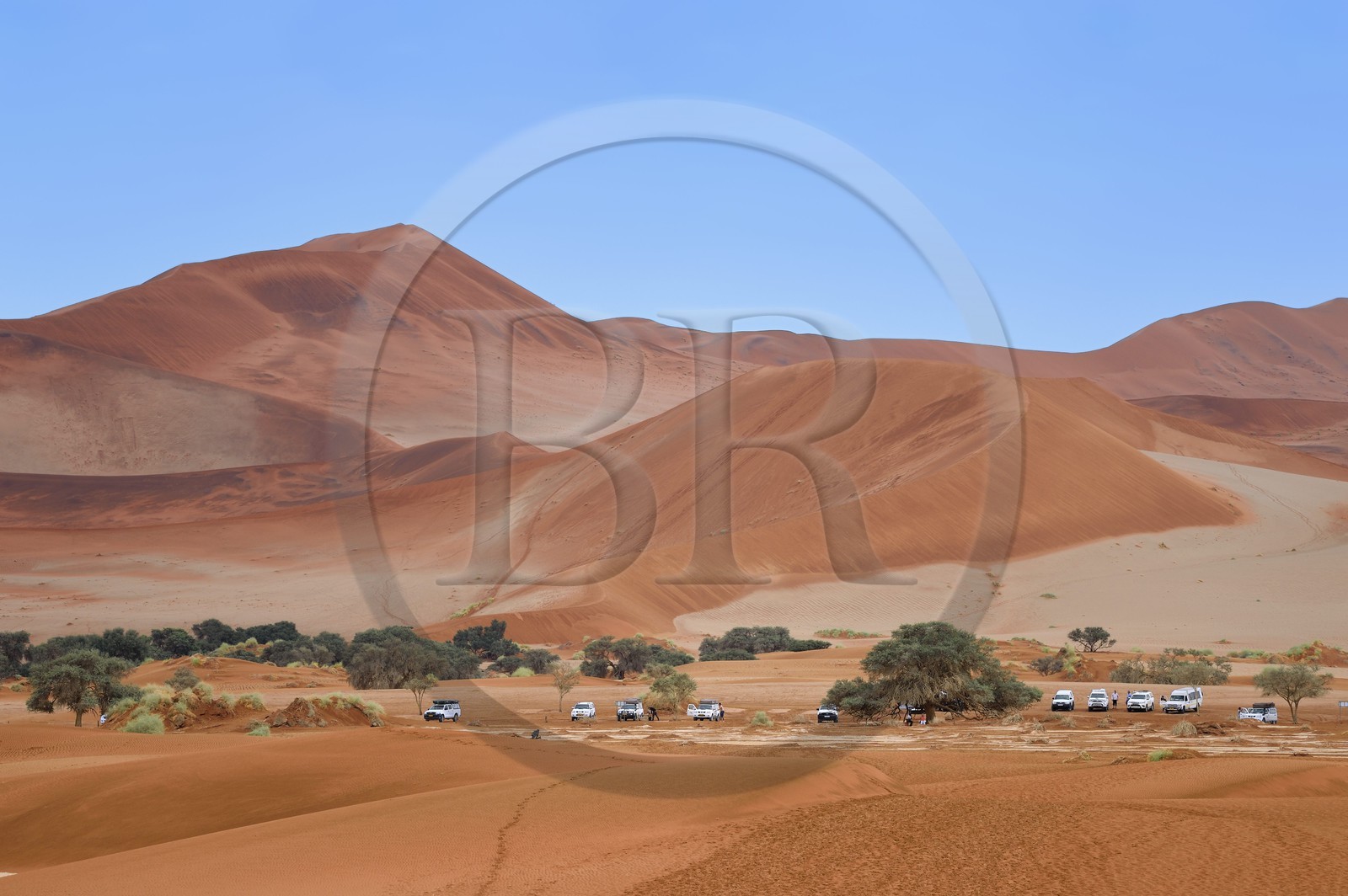 Namibie, région d'Hardap, désert du Namib, parc national du Namib-Naukluft, Erg du Namib classé Patrimoine Mondial de l'UNESCO, dunes de Sossusvlei, la dune Big Mamma