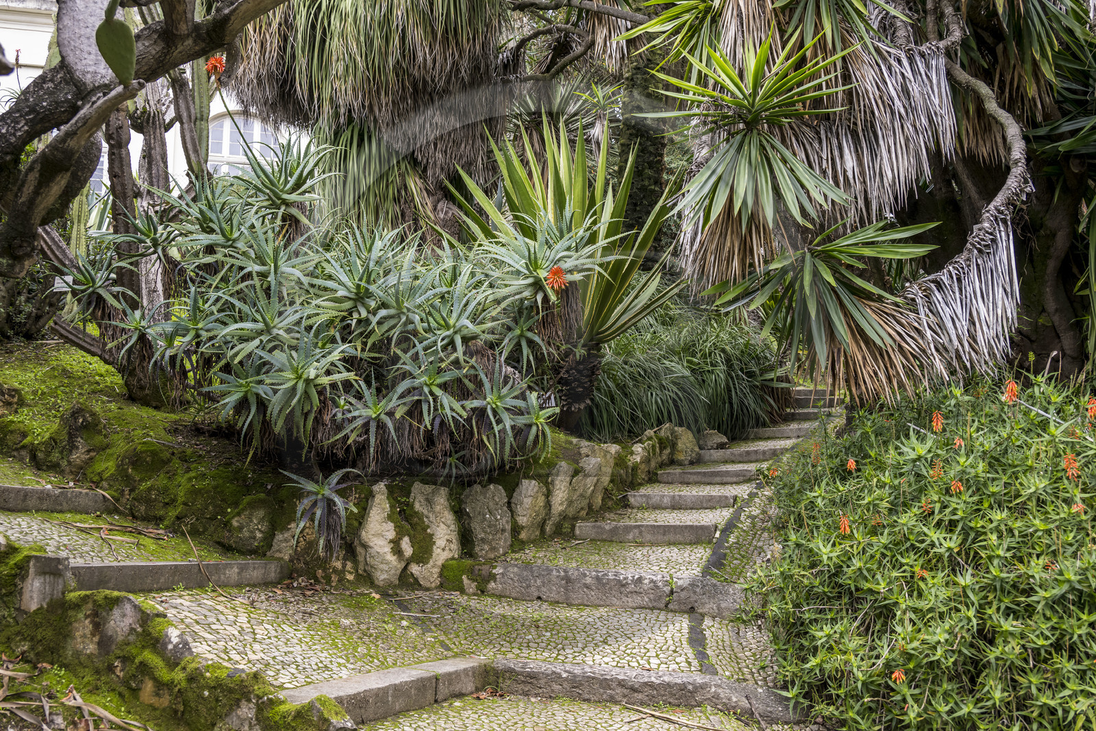 Portugal, Lisbonne, Jardin botanique de Lisbonne