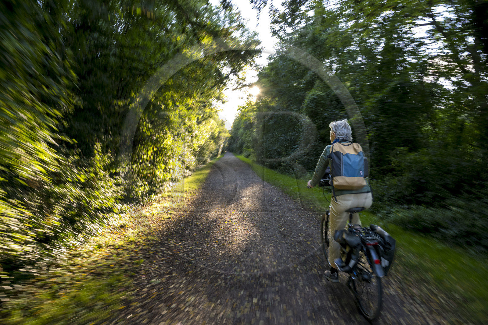 France, Yonne (89), Auxerre, cycliste sur la Coulée verte qui emprunte l'ancienne voie ferrée reliant Auxerre à Gien