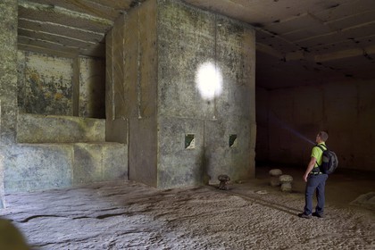 France, Dordogne (24), parc naturel régional Périgord Limousin, Périgord Vert, commune de La Rochebeaucourt-et-Argentine, plateau d'Argentine, ancienne carrière d'exploitation de calcaire