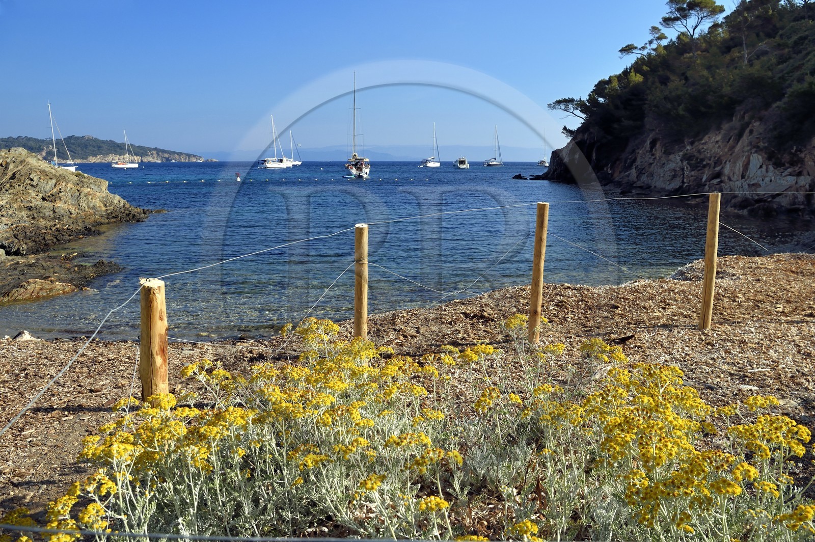 France, Var (83), Iles d'Hyères, parc national de Port Cros, Ile de Port-Cros, banquette de posidonies laissée volontairement sur la plage