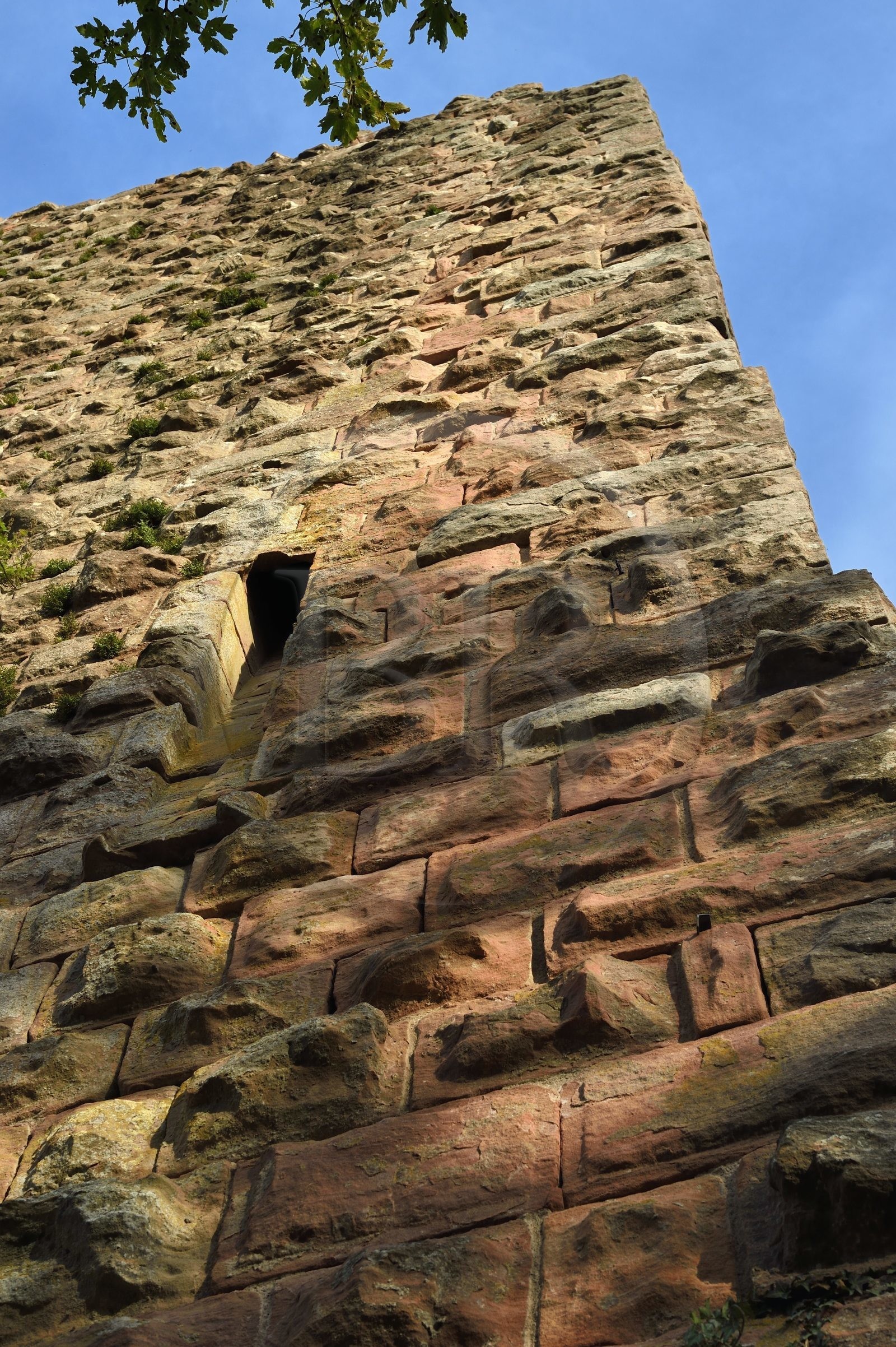 France, Bas-Rhin (67), Heiligenstein, chateau du Landsberg du XIIIème siècle, le donjon carré constitué de pierres à bossage