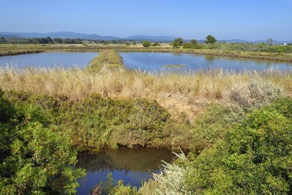 France, Var (83), Hyères, Conservatoire du littoral, les Vieux Salins (marais salants)