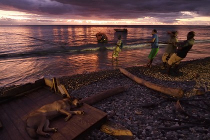 Caraïbes, Ile de la Dominique, baie de Soufrière, le village de Soufrière, pêche au filet en bordure de plage à la tombée de la nuit