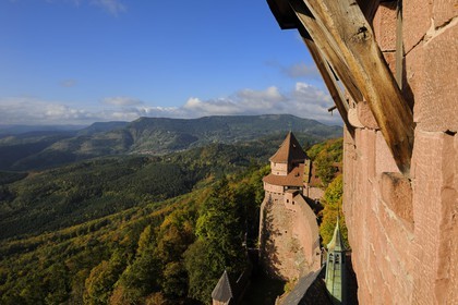 France, Bas Rhin, Orschwiller, Alsace Wine Road, Haut Koenigsbourg Castle, the great Bastion overlooking the forest around