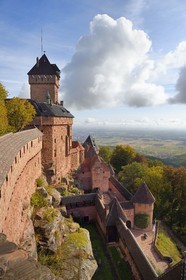 France, Bas Rhin, Orschwiller, Alsace Wine Road, Haut Koenigsbourg Castle and the plain of Alsace in the background