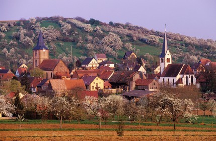 France, Bas-Rhin (67), Kirrwiller, typiquement alsacien : le temple protestant et l' église catholique côte à côte