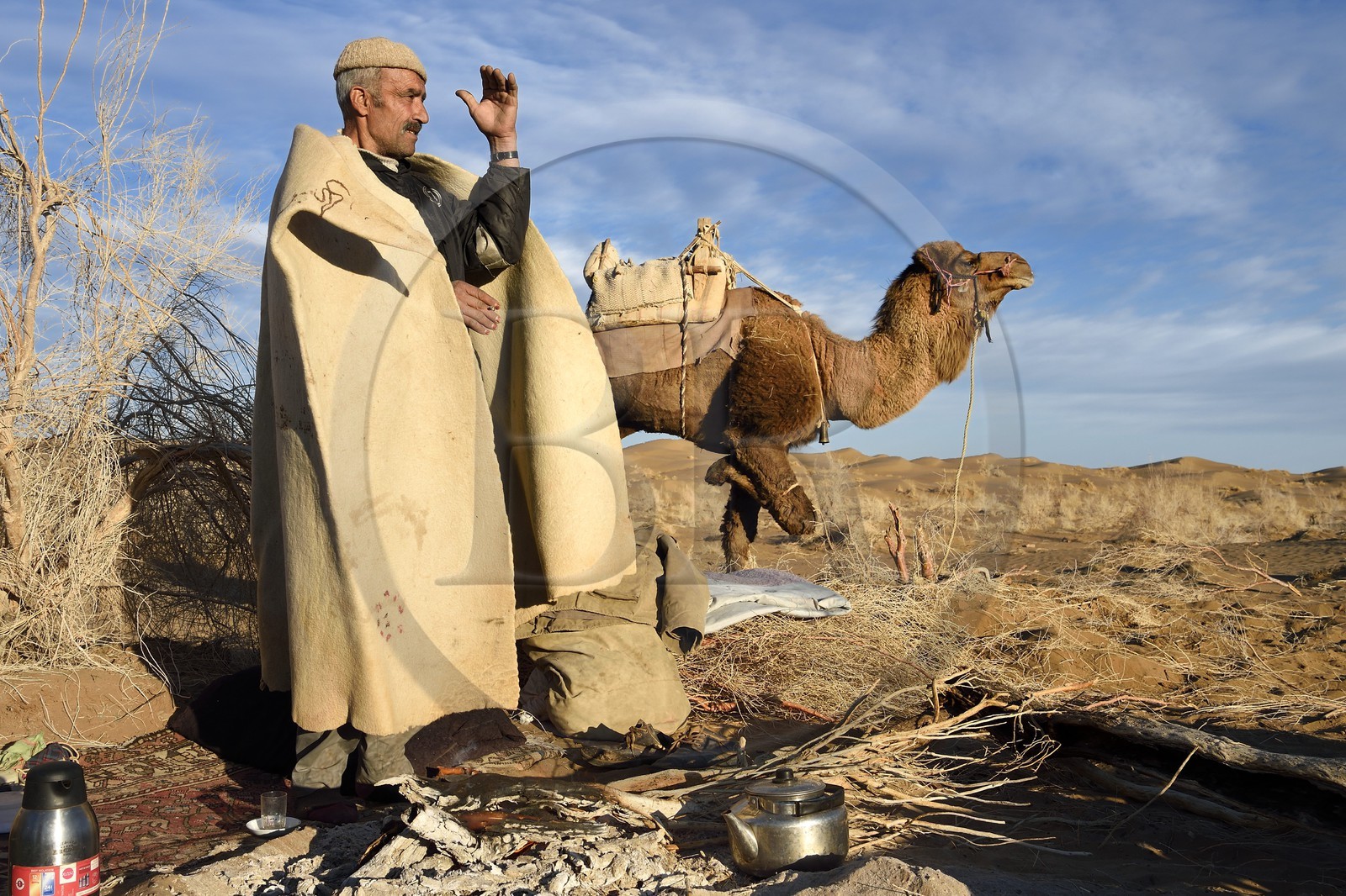 Iran, Province d'Ispahan, désert du Dasht-e Kavir, Mesr dans la région de Khur et Biabanak, le chamelier Ali Saraban portant le feutre en laine de chameau (namad) de son grand-père et un de ses dromadaires au bivouac de Kuh e-Sefid