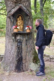 France, Haut Rhin, Thannenkirch, hiking in the Taennchel massif, Madonna of the oak at the exit of the village in the Bergheim forest