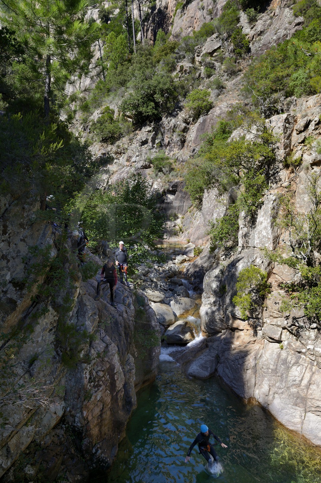 France, Corse-du-Sud (2A), Alta Rocca, Bavella, canyoning dans le torrent de Polischellu