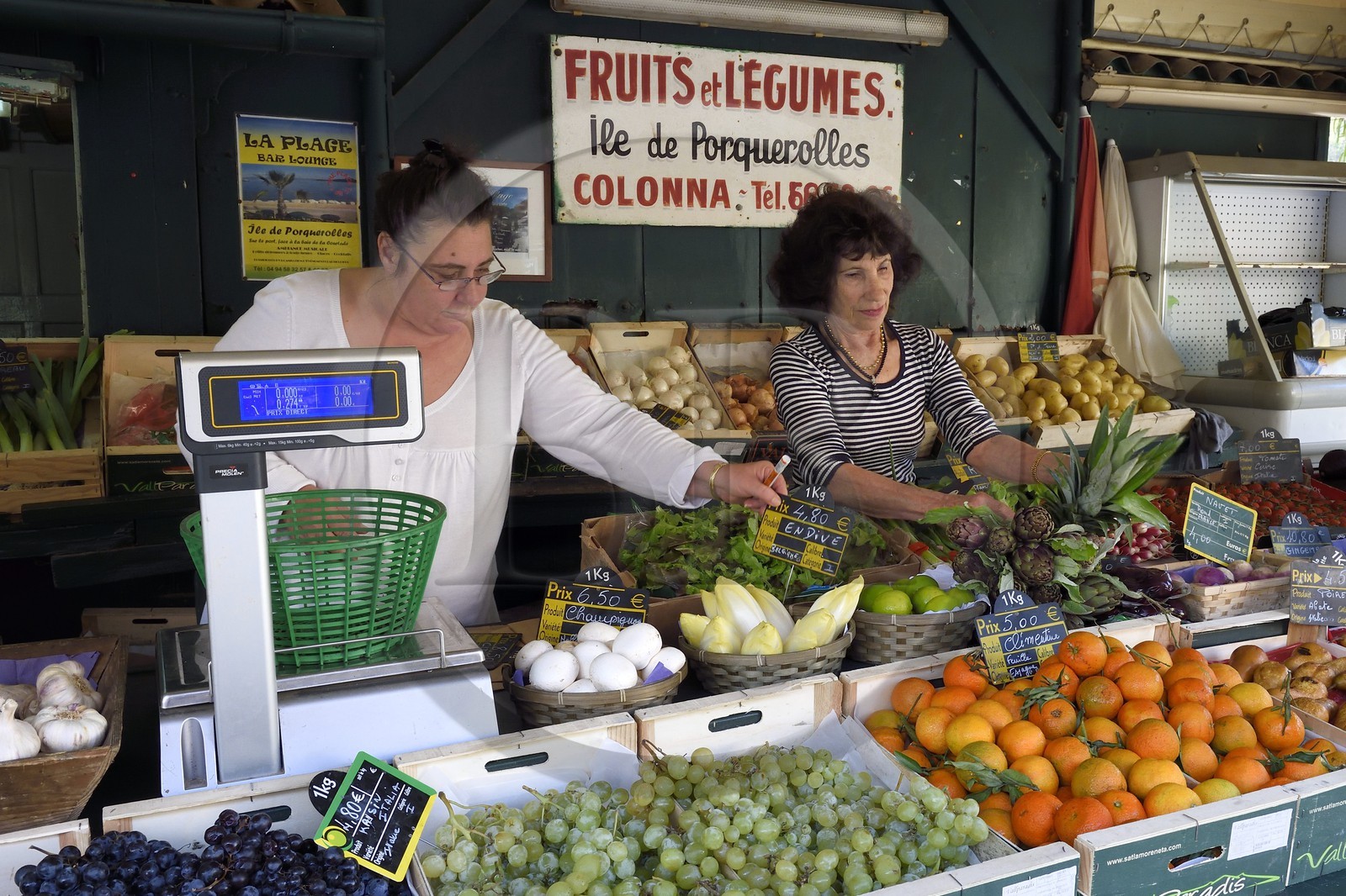France, Var (83), Iles d'Hyères, parc national de Port Cros, Ile de Porquerolles, commerce de fruit et légumes pour l'Ile