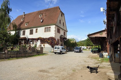 France, Haut-Rhin (68), Route des vins d'Alsace, Bergheim, l'ancienne commanderie de Templiers dite Le Tempelhof