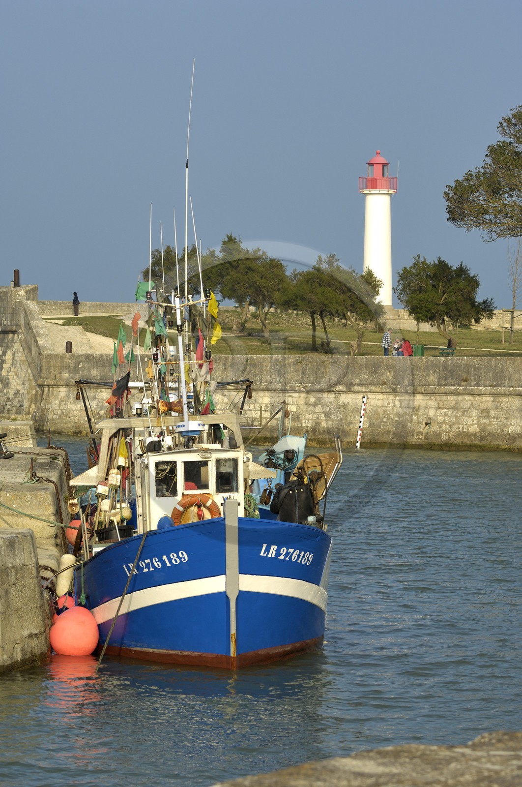 France, Charente-Maritime (17), ile de Ré, port de Saint-Martin-de-Ré