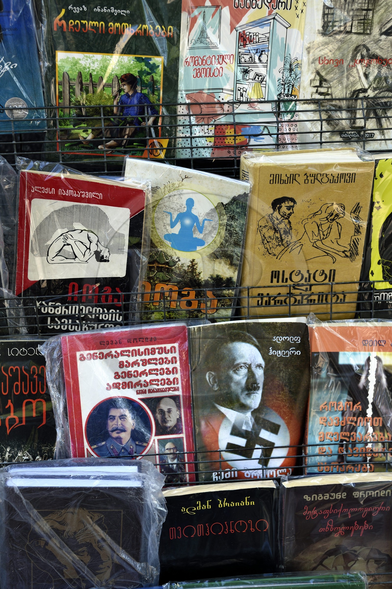 Georgia, Tbilisi, Shota Rustaveli avenue, street bookstore, books about Hitler and Stalin