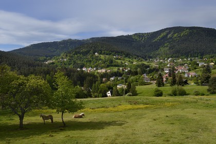 France, Bas Rhin, Wangenbourg-Engenthal, the village in the Vosges mountains