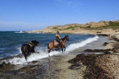 France, Haute-Corse (2B), Nebbio, désert des Agriates, Anse de Peraiola, cavalière sur la plage d'Ostriconi