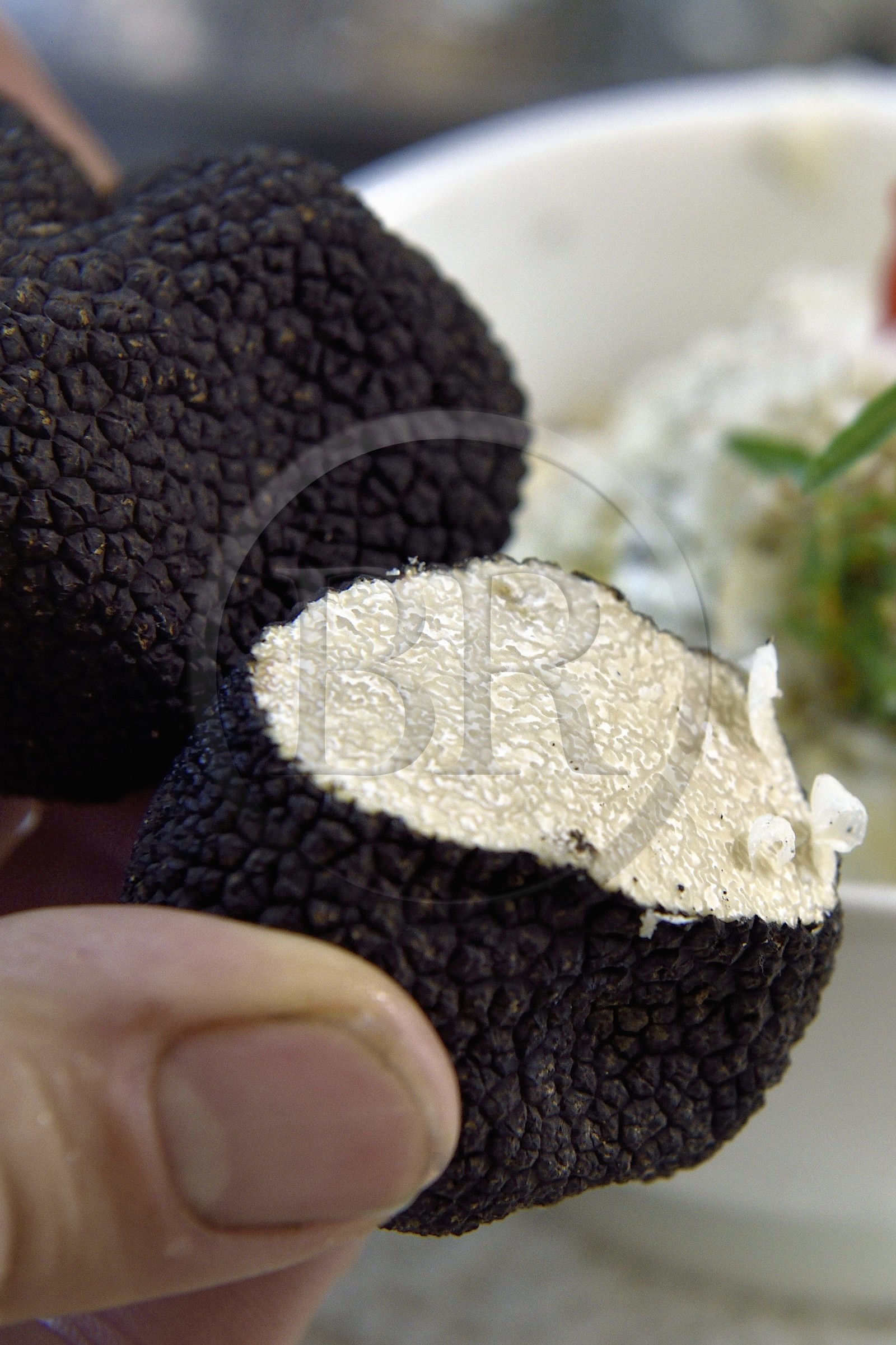 France, Var, Aups, Le Provençal restaurant, summer truffle recipe