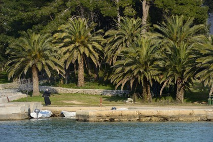 Croatie, Dalmatie, côte dalmate, Ile d’Ugljan, Preko, frère franciscain rejoignant le Monastère Franciscain de l'îlot Galovac sur sa barque