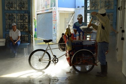 Panama, Panama City, quartier de Santa Ana, le marché aux poisson (Mercado de Mariscos), chargement de glace dans le triporteur d'un vendeur ambulant
