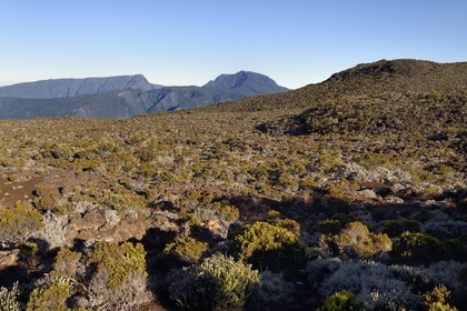 France, Ile de la Reunion, Parc National de la Réunion classé Patrimoine Mondial de l'UNESCO, sur les pentes du volcan de Piton de la Fournaise, randonnée du sentier de l'oratoire Ste Thérèse au dessus de la Plaine des Sables