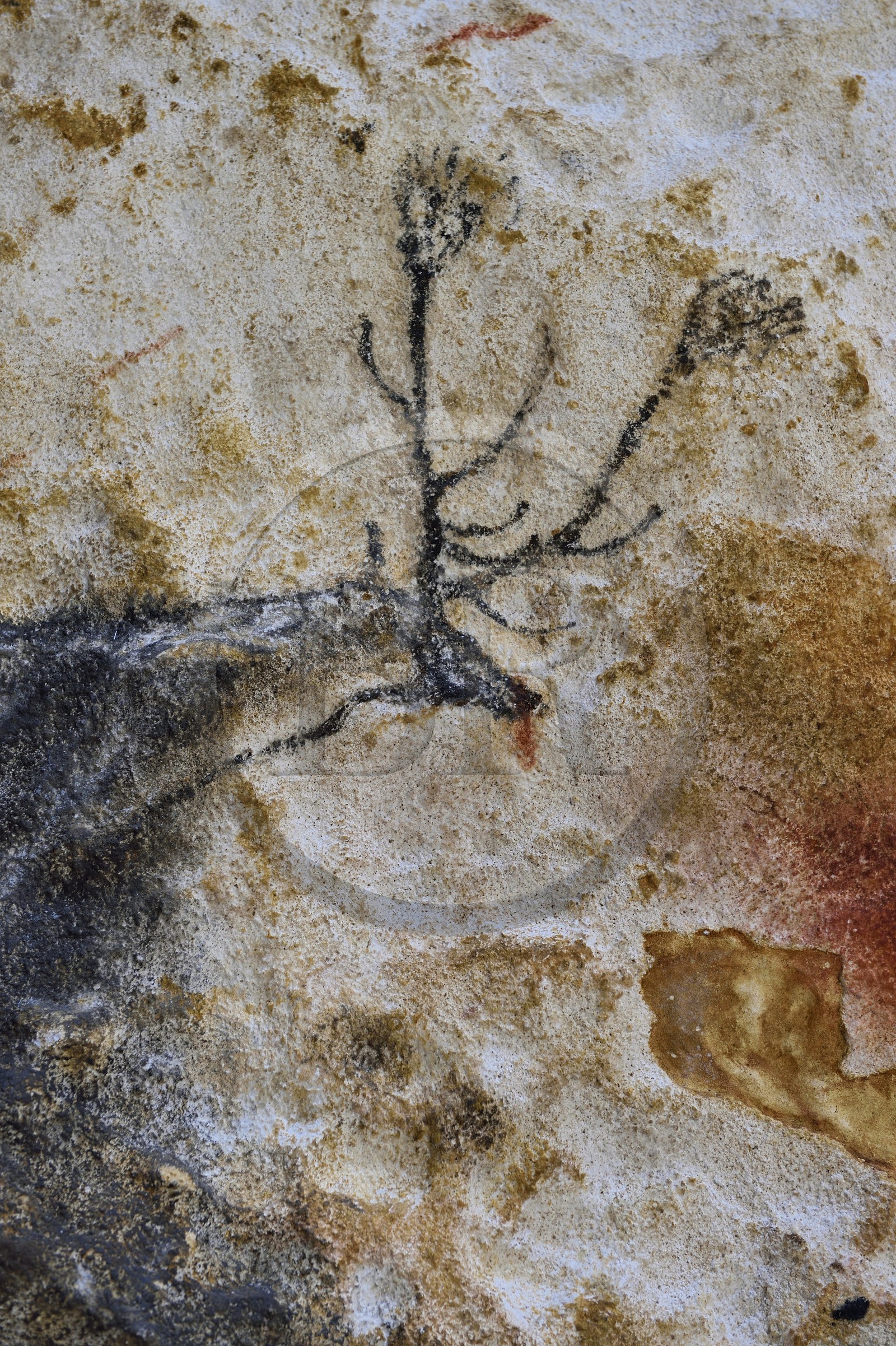 France, Dordogne (24), Montignac, l’Atelier des Fac-Similés du Périgord (AFSP) spécialisé dans la reproduction minérale de parois ornées de la préhistoire et en charge de la reconstitution fidèle des parois de la grotte de Lascaux, cerfs, mention obligatoire Atelier des Fac-Similés du Périgord