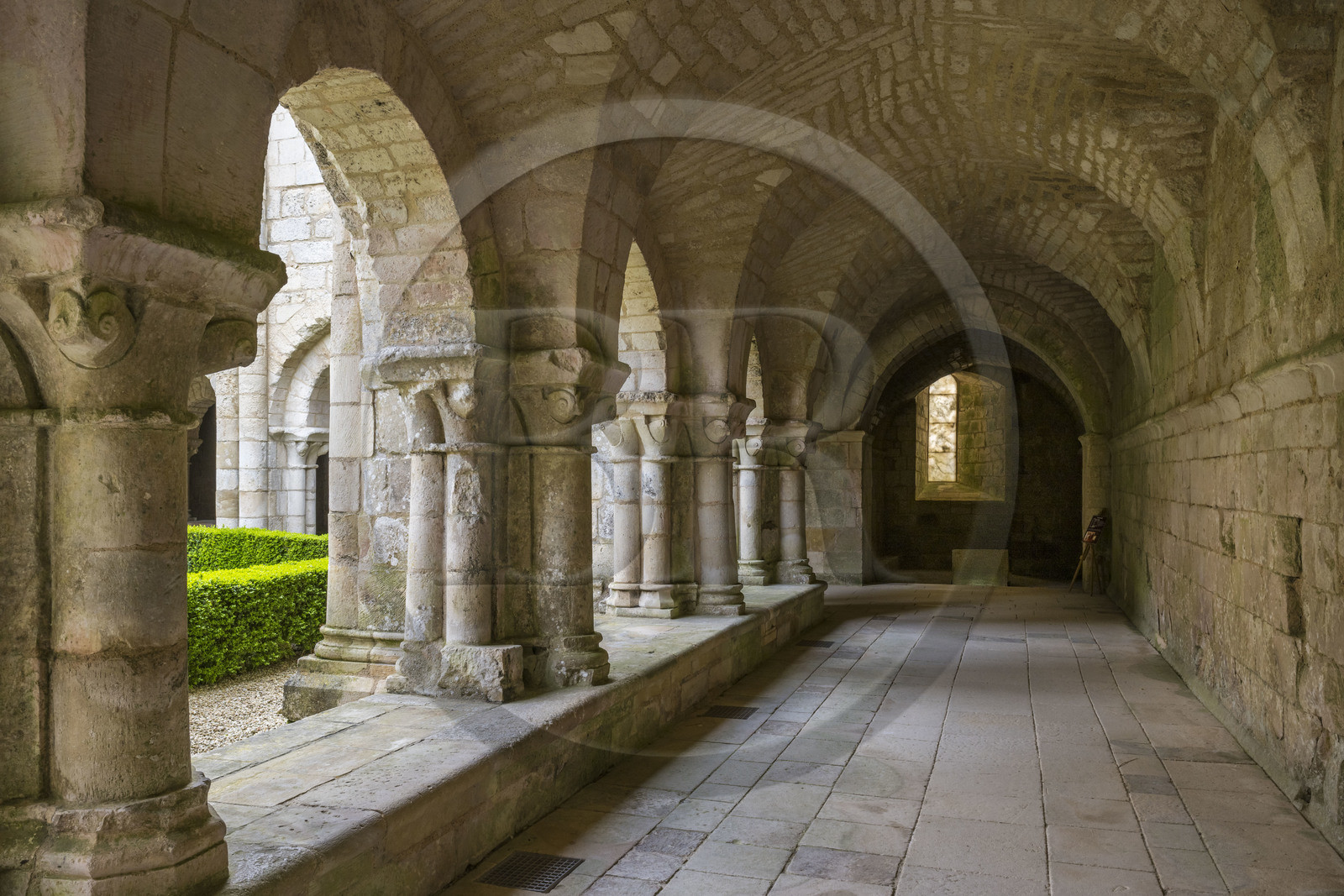 France, Vendée (85), Nieul-sur-l'Autise, Abbaye royale Saint-Vincent fondée en 1069, abrite la tombe d'Aénor de Châtelleraut mère d'Alienor d'Aquitaine, le cloitre