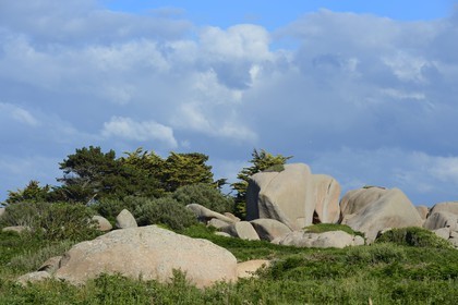 France, Côtes-d'Armor (22), Côte de Granit Rose, Trégastel, l'Ile Renote