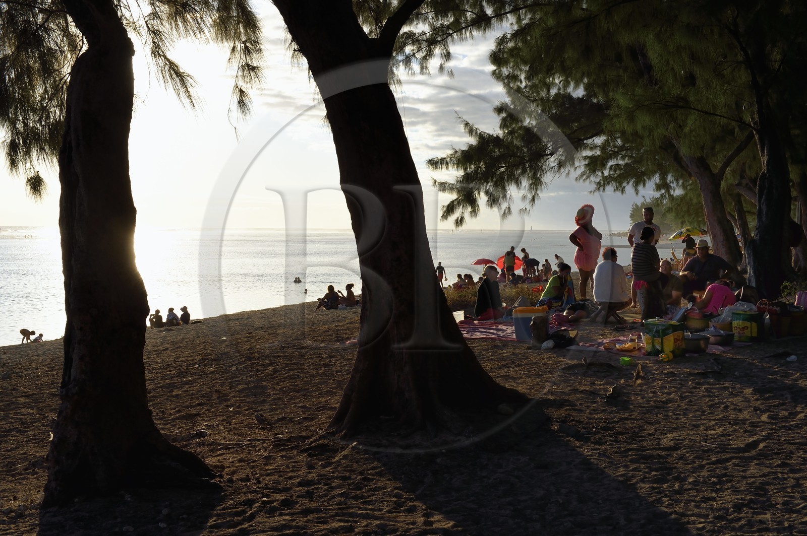 France, île de la Réunion, la Cote Ouest, plage du lagon de Saint-Gilles-Les-Bains à l'Ermitage-les-Bains, à l'ombre des filaos