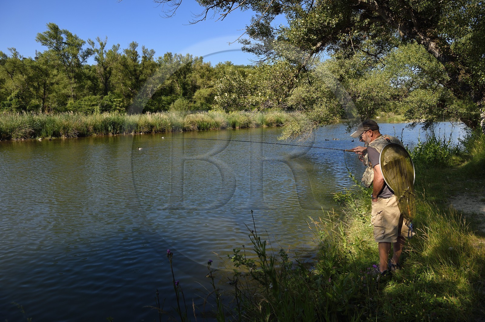France, Alpes-de-Haute-Provence (04), parc naturel régional du Verdon, Gréoux-les-Bains, peche à la truite sur les rives du Verdon