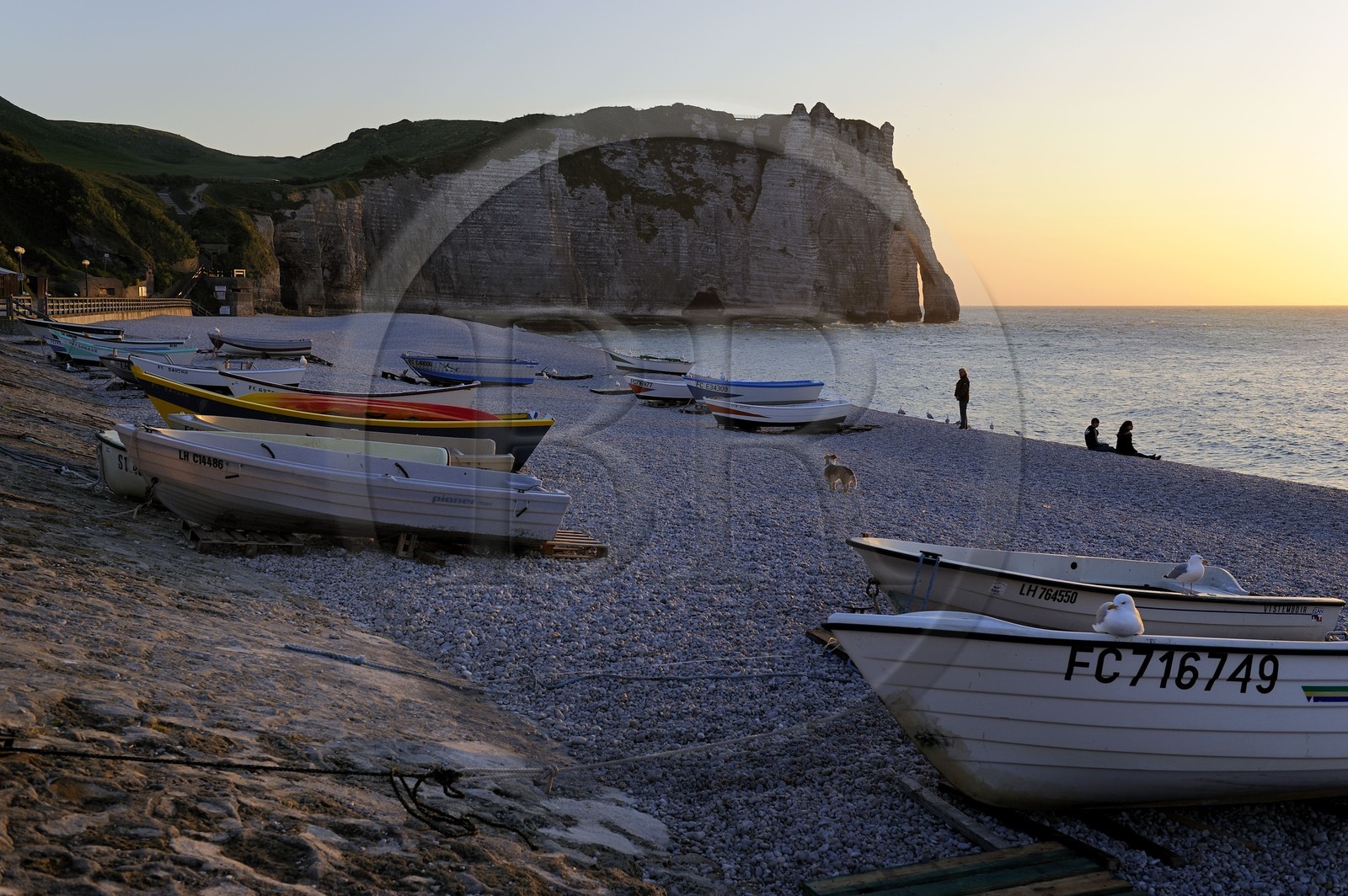 France, Seine-Maritime (76), Pays de Caux, Côte d'Albâtre, Etretat, la falaise d'Aval et la plage de la ville avec les barques de pecheurs