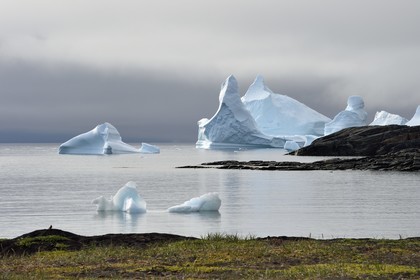 Groenland, cote ouest, Ile de Disko, baie du village de Qeqertarsuaq, icebergs dans la brume