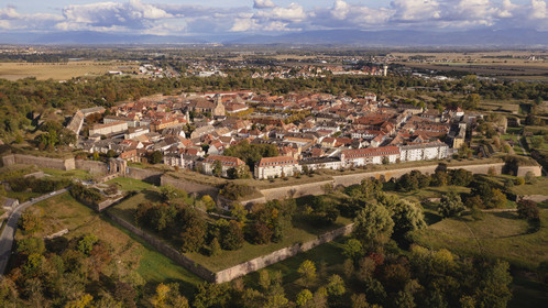 France, Haut-Rhin (68), Neuf-Brisach, ville fortifiée par Vauban, classée Patrimoine Mondial de l'UNESCO, la Porte de Colmar au nord-ouest et la Forêt Noire en arrière plan (vue aérienne)