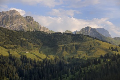 Suisse, canton de Vaud, Les Diablerets au Col de la Croix