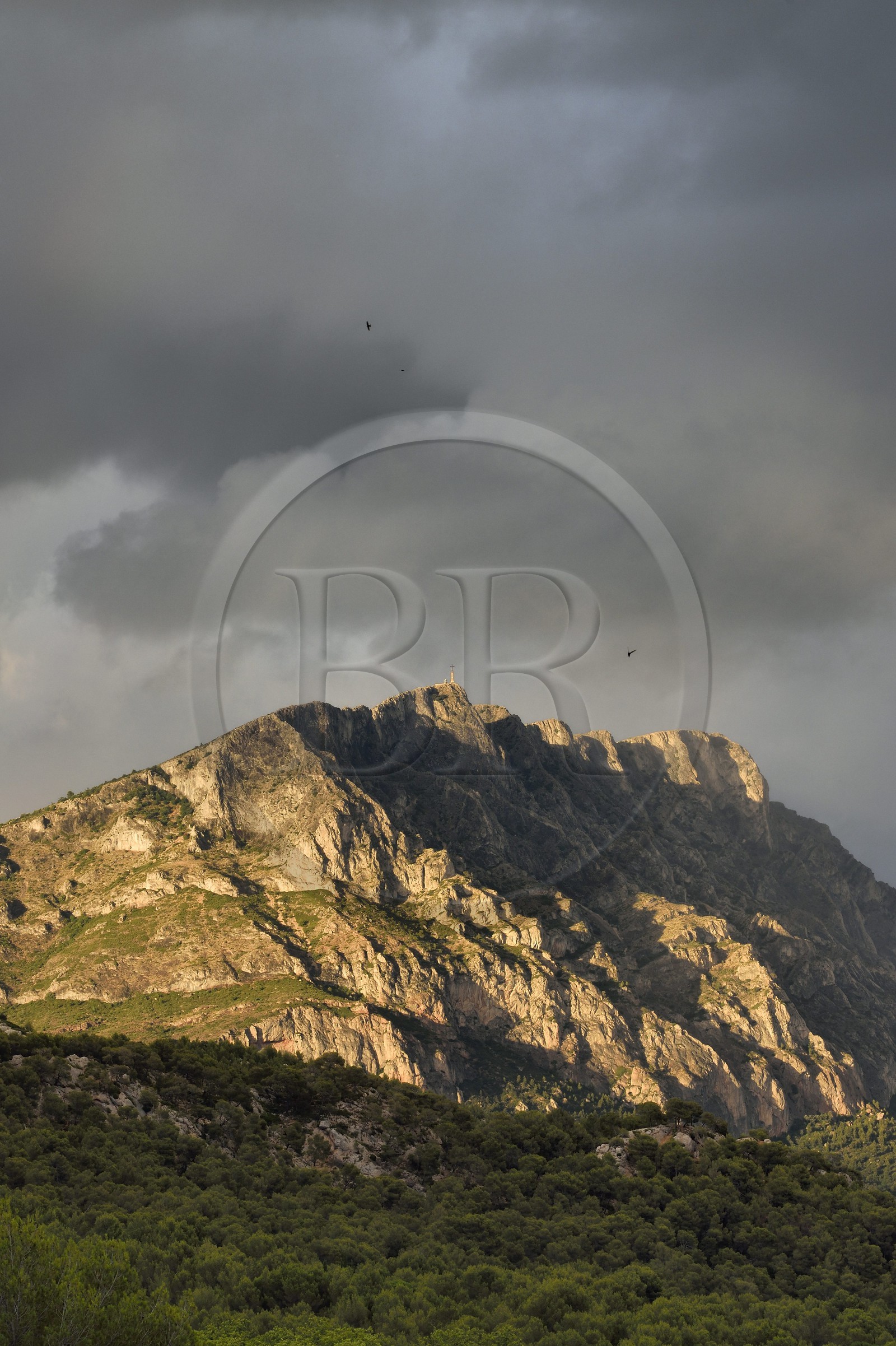 France, Bouches-du-Rhône (13), Pays d'Aix en Provence, vers le Tholonet, la Montagne Sainte Victoire, route Cézanne