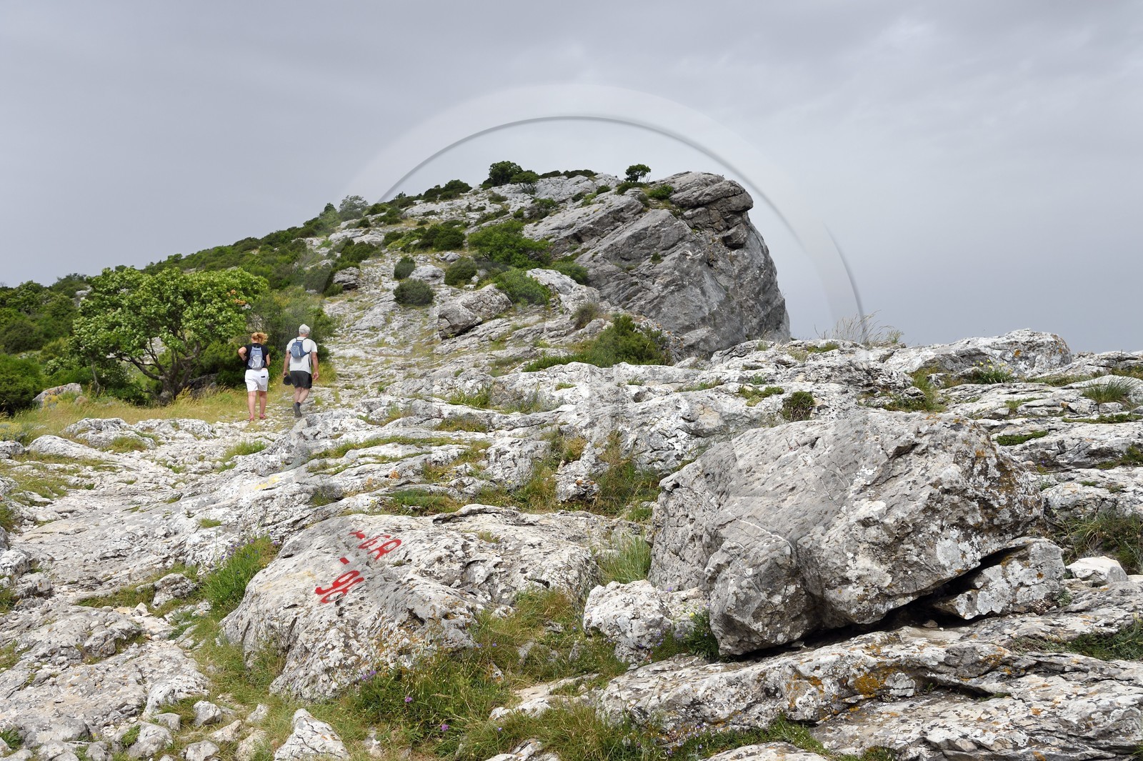 France, Var, Plan d'Aups Sainte Baume, Sainte-Baume Regional Nature Park, Sainte-Baume Massif, hikers at the Col du Saint-Pilon on the GR 98, the Saint-Pilon in the background