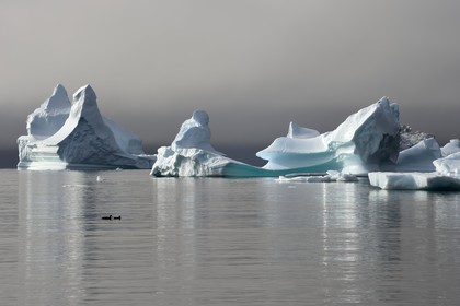 Groenland, cote ouest, Ile de Disko, baie du village de Qeqertarsuaq, icebergs dans la brume