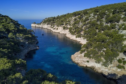 France, Bouches du Rhone, Marseille, National Park of the Calanques, Calanque de Port Pin (cove) (request for authorization necessary before publication)